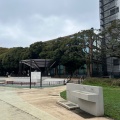 実際訪問したユーザーが直接撮影して投稿した駒沢公園駒沢オリンピック公園 ジャブジャブ池の写真