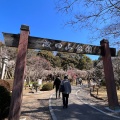 実際訪問したユーザーが直接撮影して投稿した成田公園成田山公園の写真