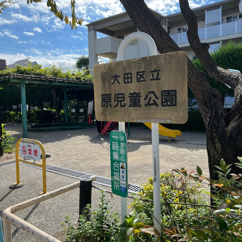 実際訪問したユーザーが直接撮影して投稿した多摩川公園原児童公園の写真