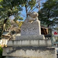 実際訪問したユーザーが直接撮影して投稿した岸町神社調神社の写真