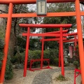 実際訪問したユーザーが直接撮影して投稿した深溝町寺江西寺 (祈願だるま寺)の写真