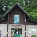 実際訪問したユーザーが直接撮影して投稿した向山水族館 / アクアリウム高千穂峡 淡水魚水族館の写真