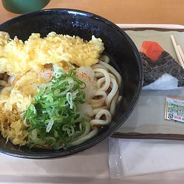 実際訪問したユーザーが直接撮影して投稿した寺内うどんセルフうどん きつねとたぬき 製麺所の写真