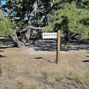 実際訪問したユーザーが直接撮影して投稿した有明町公園琴弾公園の写真