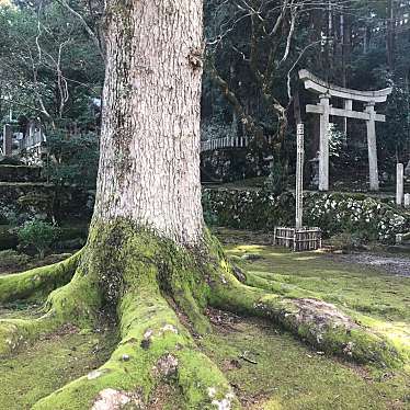 実際訪問したユーザーが直接撮影して投稿した天徳寺寺天徳寺の写真