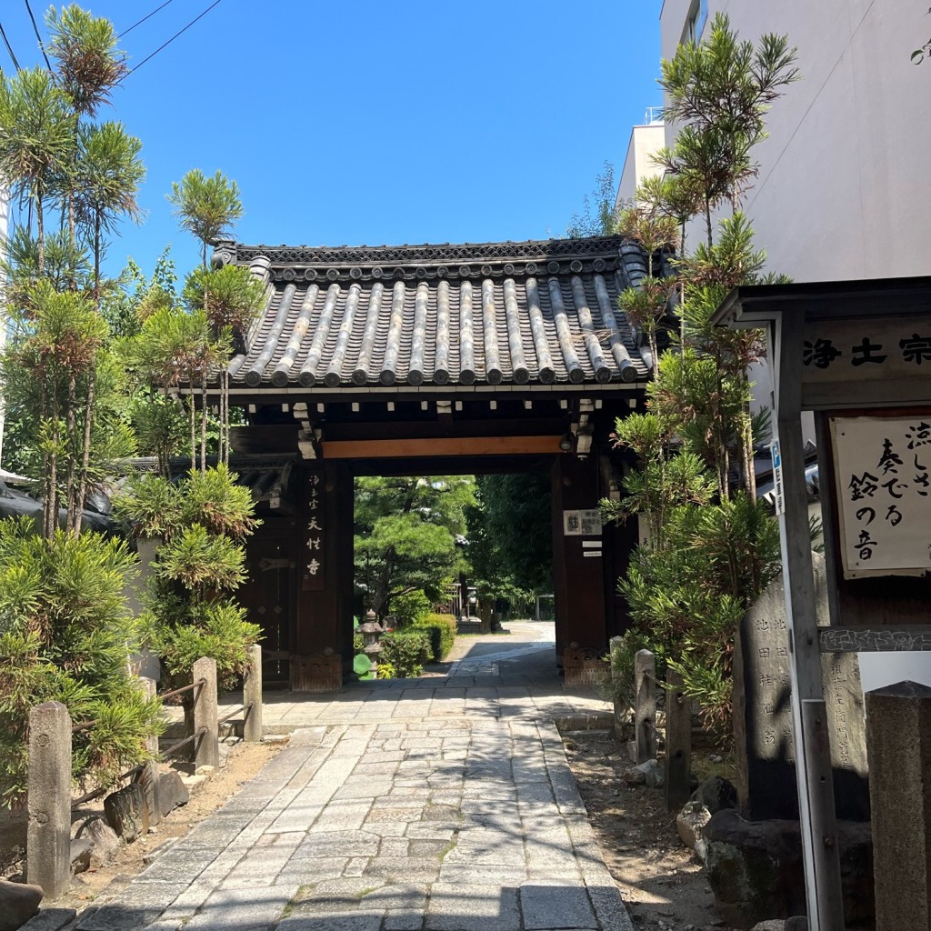 dondondonさんが投稿した天性寺前町寺のお店天性寺/テンショウジの写真