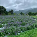 実際訪問したユーザーが直接撮影して投稿した西原公園安曇野ちひろ公園の写真