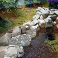 実際訪問したユーザーが直接撮影して投稿した園町水族館 / アクアリウム島根県立宍道湖自然館ゴビウスの写真