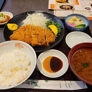 実際訪問したユーザーが直接撮影して投稿した新町和食 / 日本料理稲 TOKYO 桜新町の写真