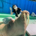 実際訪問したユーザーが直接撮影して投稿した二見町江水族館 / アクアリウム伊勢シーパラダイスの写真