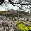 実際訪問したユーザーが直接撮影して投稿した土呂町公園見晴公園の写真