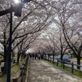 実際訪問したユーザーが直接撮影して投稿した太秦桜が丘地域名所打上川治水緑地の写真