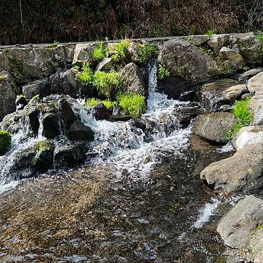 ずーーーーさんが投稿した白川名水 / 湧水百選のお店白川水源/シラカワスイゲンの写真