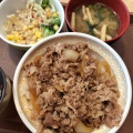 牛丼 - 実際訪問したユーザーが直接撮影して投稿した桜田牛丼すき家 浦和桜田店の写真のメニュー情報