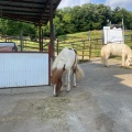 実際訪問したユーザーが直接撮影して投稿した矢並町動物園鞍ケ池公園動物園の写真