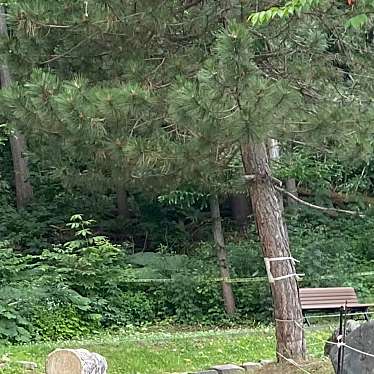 実際訪問したユーザーが直接撮影して投稿した神居九条公園はす池公園の写真