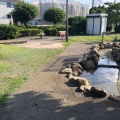 実際訪問したユーザーが直接撮影して投稿した喜多見公園喜多見まちかど公園の写真