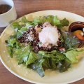 実際訪問したユーザーが直接撮影して投稿した泉カフェNatural Ingredients Cafe NOIEの写真