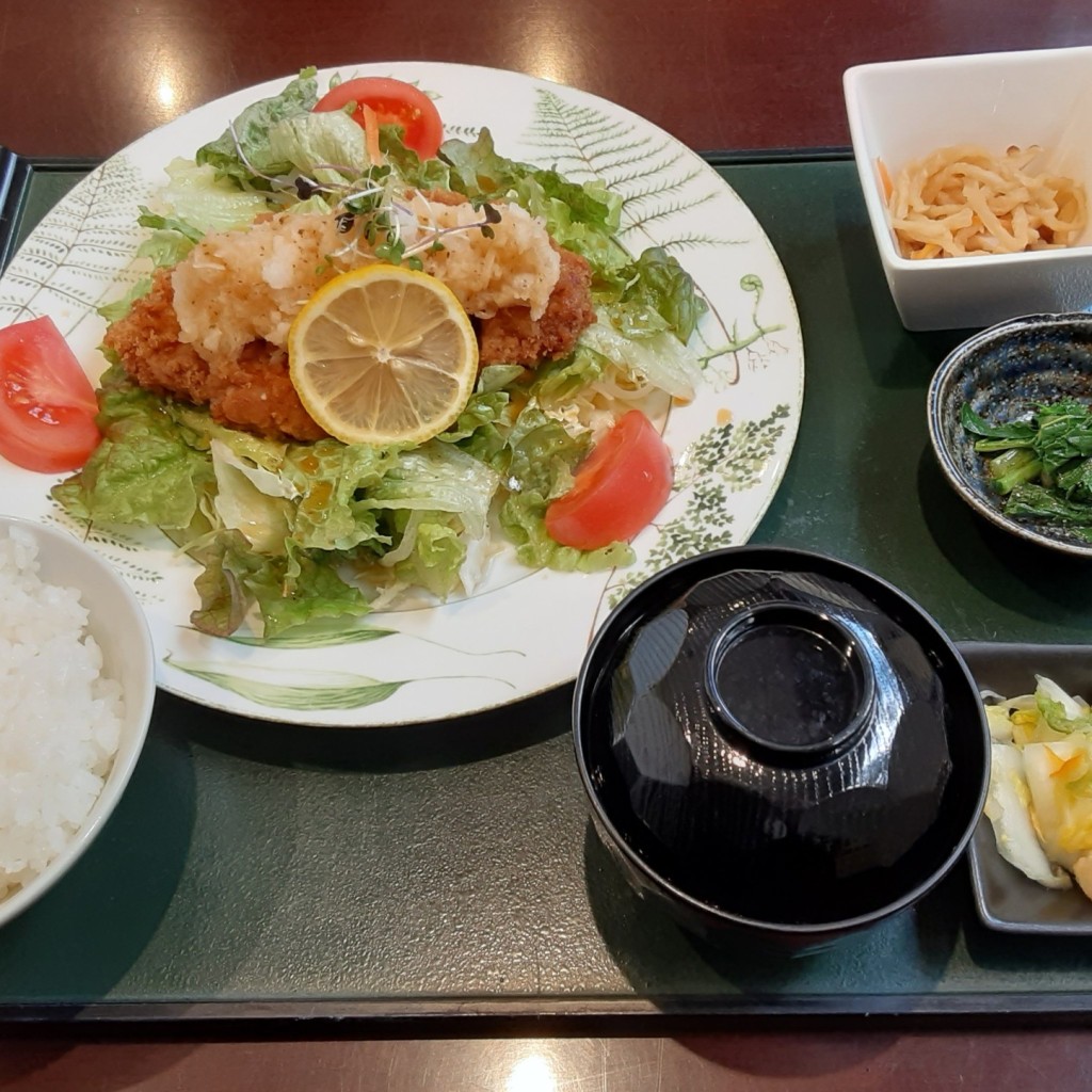 ユーザーが投稿したサラダロース定食の写真 - 実際訪問したユーザーが直接撮影して投稿した吉井町長根とんかつみつ味の写真