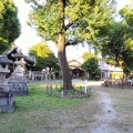 実際訪問したユーザーが直接撮影して投稿した枇杷島神社八幡社の写真