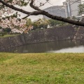 実際訪問したユーザーが直接撮影して投稿した千代田通り皇居乾通りの写真