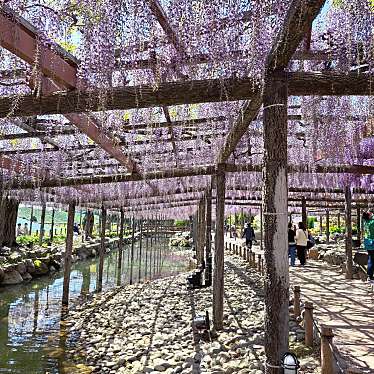 実際訪問したユーザーが直接撮影して投稿した宮川町公園天王川公園の写真