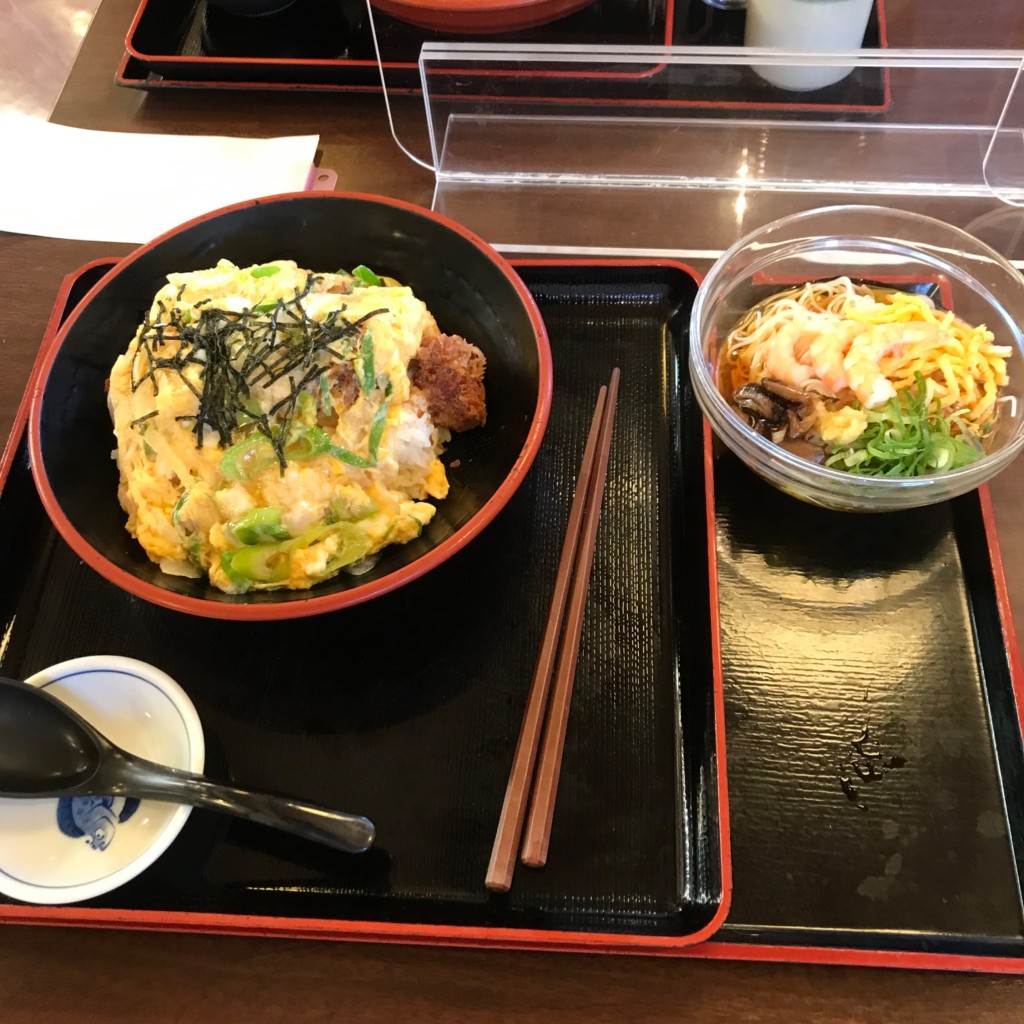 ユーザーが投稿した素麺の写真 - 実際訪問したユーザーが直接撮影して投稿した奥田定食屋ザめしや 岡山奥田店の写真