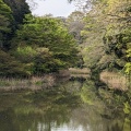 実際訪問したユーザーが直接撮影して投稿した千代田通り皇居乾通りの写真