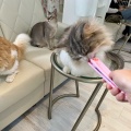 実際訪問したユーザーが直接撮影して投稿した山下町カフェ猫ちゃんといっしょの写真