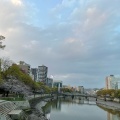 実際訪問したユーザーが直接撮影して投稿した河川京橋川の写真