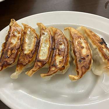 実際訪問したユーザーが直接撮影して投稿した一乗寺払殿町ラーメン / つけ麺珍遊 一乗寺本店の写真