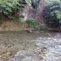 実際訪問したユーザーが直接撮影して投稿した南中野山 / 峠中野もみじ山の写真