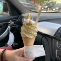 実際訪問したユーザーが直接撮影して投稿した簾舞一条アイスクリームミルクマスタッシュの写真