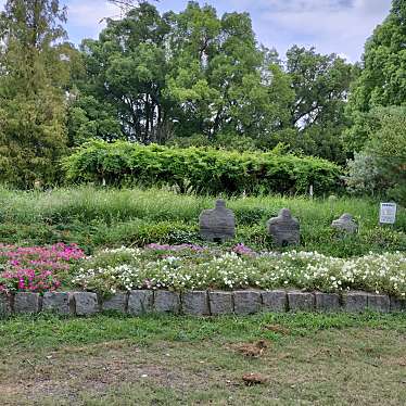 実際訪問したユーザーが直接撮影して投稿した八雲北町公園下島公園の写真