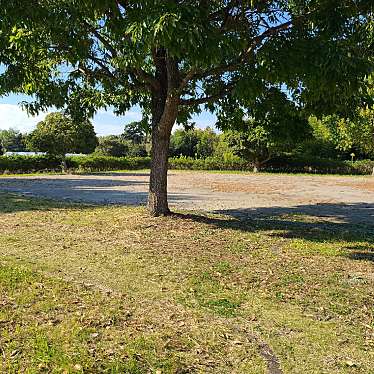 実際訪問したユーザーが直接撮影して投稿した伊左地町公園伊左地北原運動公園の写真