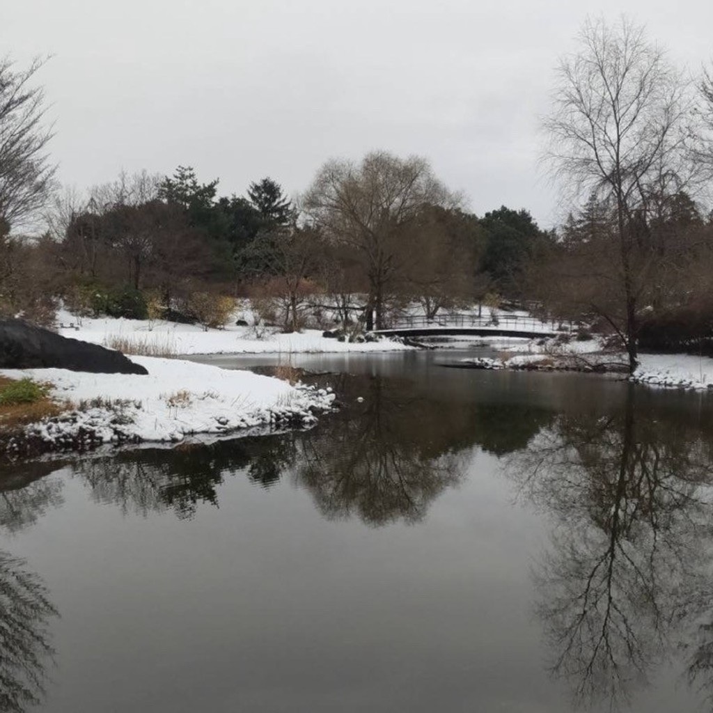 実際訪問したユーザーが直接撮影して投稿した緑町公園こもれびの池の写真