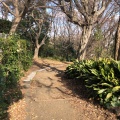 実際訪問したユーザーが直接撮影して投稿した原町田公園原町田ふるさとの森の写真