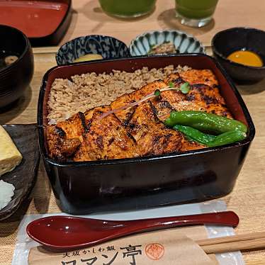 実際訪問したユーザーが直接撮影して投稿した梅田鶏料理大坂かしわ飯 ロマン亭の写真