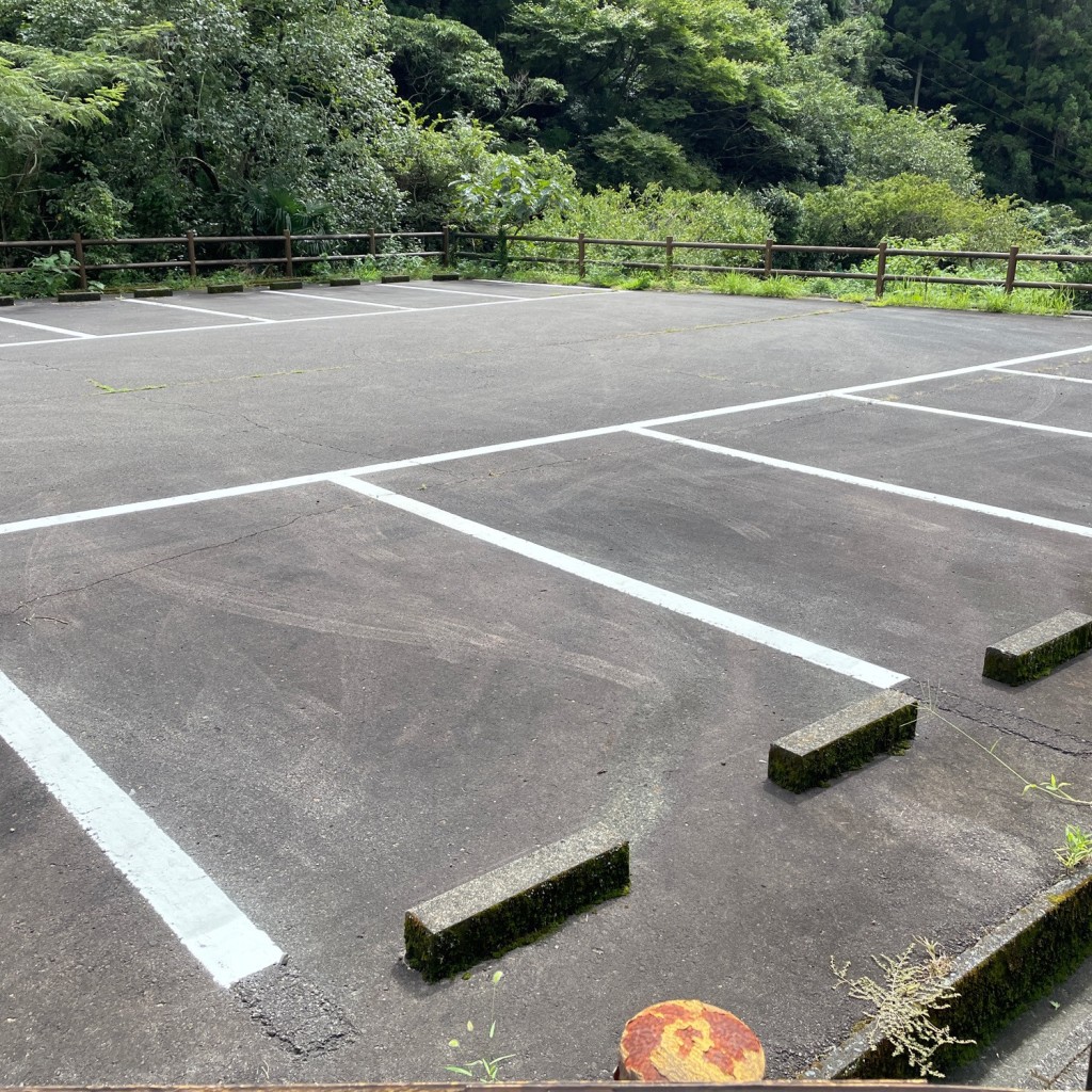 実際訪問したユーザーが直接撮影して投稿した岡部町岡部公園つたの細道公園の写真