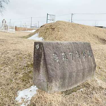 実際訪問したユーザーが直接撮影して投稿した鳥取南公園鳥取7号公園の写真