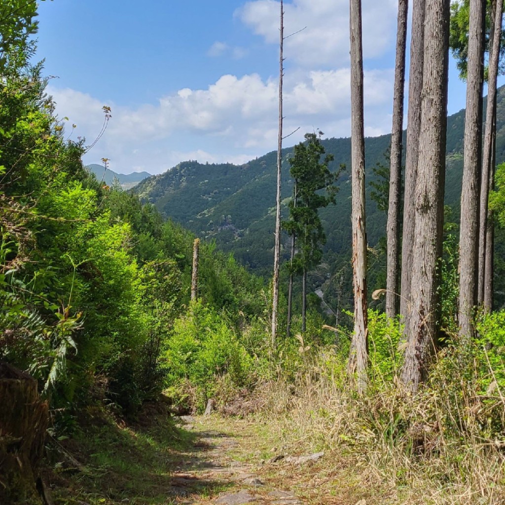 くまくまくまーさんが投稿した山 / 峠のお店熊野古道・風伝峠の写真