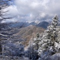 実際訪問したユーザーが直接撮影して投稿した山 / 峠雲取山の写真