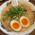 味玉ラーメン - 実際訪問したユーザーが直接撮影して投稿した八剣ラーメン専門店来来亭 岐南店の写真のメニュー情報