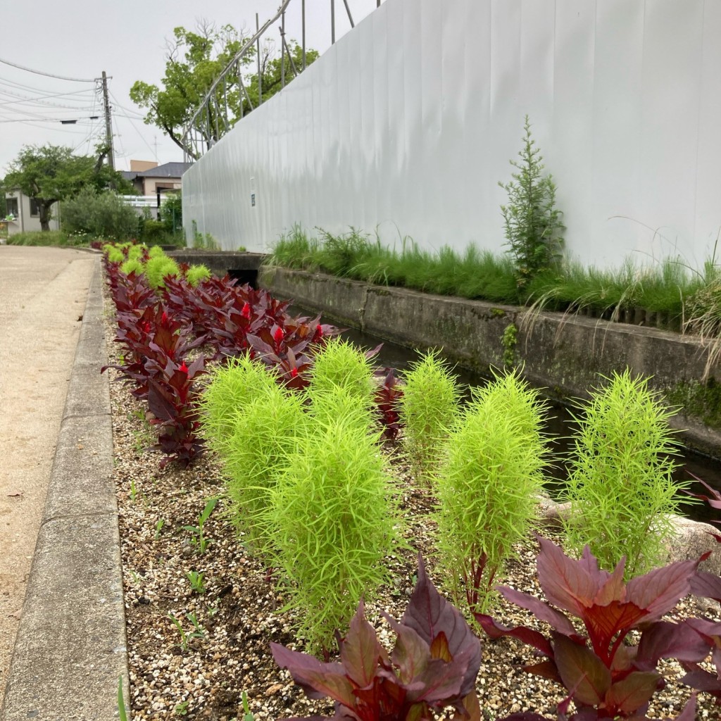 実際訪問したユーザーが直接撮影して投稿した武庫元町公園西武庫公園の写真