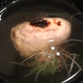 実際訪問したユーザーが直接撮影して投稿した新宿懐石料理 / 割烹正月屋 吉兆の写真
