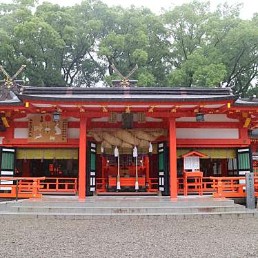 実際訪問したユーザーが直接撮影して投稿した新宮神社熊野速玉大社 拝殿の写真