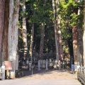 実際訪問したユーザーが直接撮影して投稿した高野山寺金剛峯寺 奥之院の写真