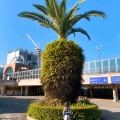 実際訪問したユーザーが直接撮影して投稿した茶臼山町動物園天王寺動物園の写真