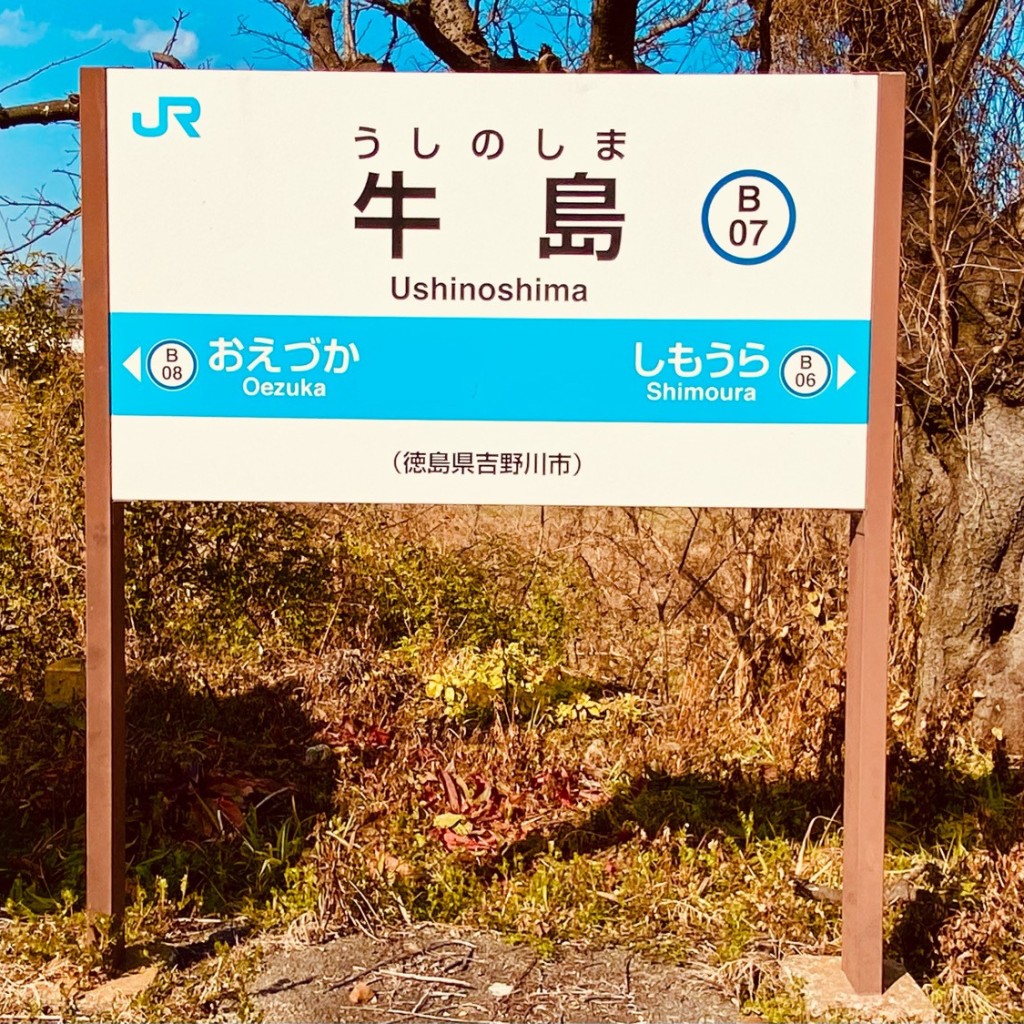 グルメリポートさんが投稿した鴨島町牛島駅（代表）のお店牛島駅 (JR徳島線)/ウシノシマエキ ジェイアールトクシマセンの写真