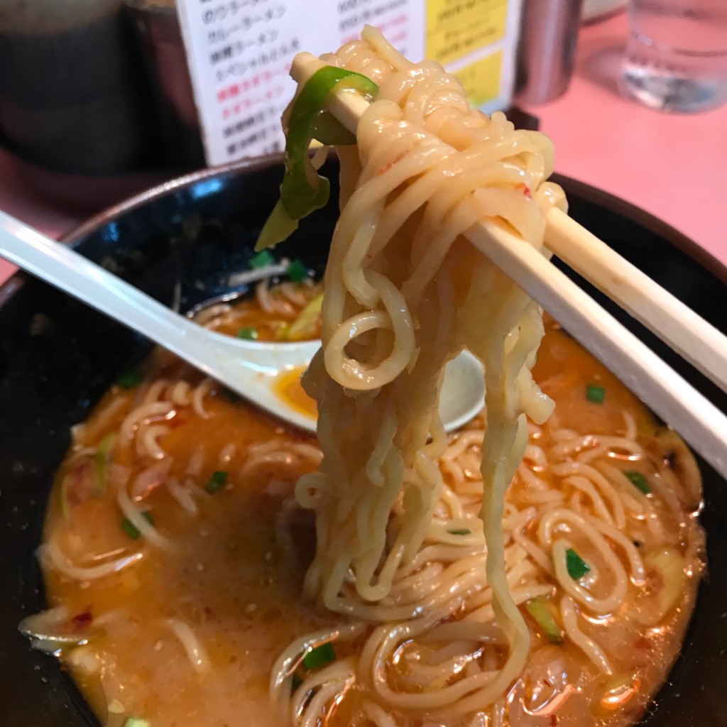 ユーザーが投稿した味噌ネギラーメンの写真 - 実際訪問したユーザーが直接撮影して投稿した横渚ラーメン専門店ラーメンとん太 鴨川店の写真